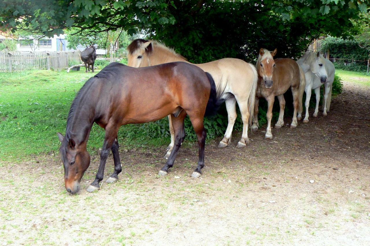 Spring-Hof Lejlighed Oberostendorf Eksteriør billede