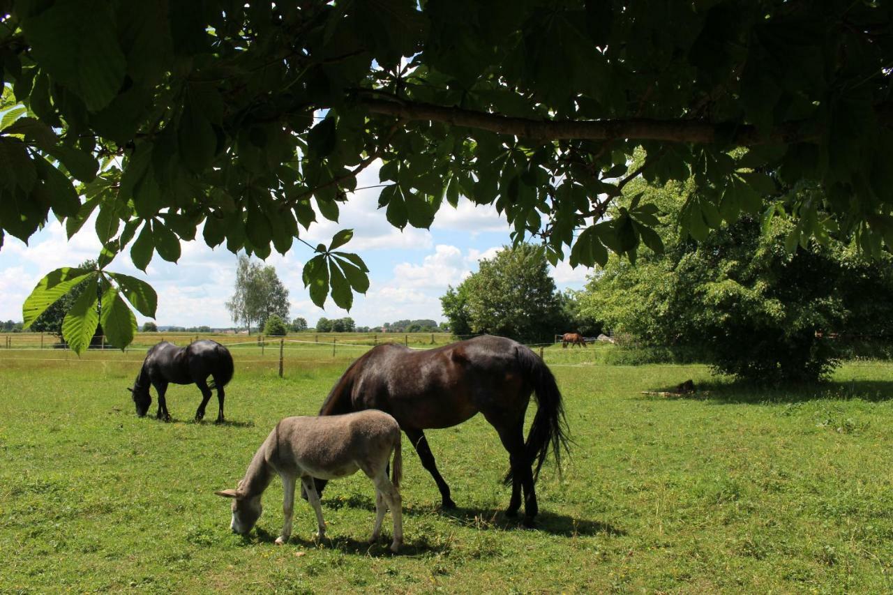 Spring-Hof Lejlighed Oberostendorf Eksteriør billede